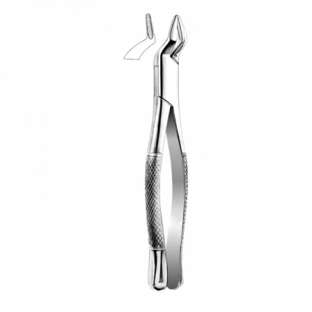 Shop Primary Image