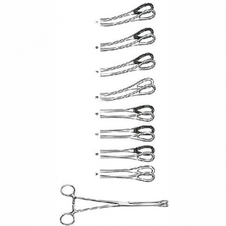 Shop Primary Image