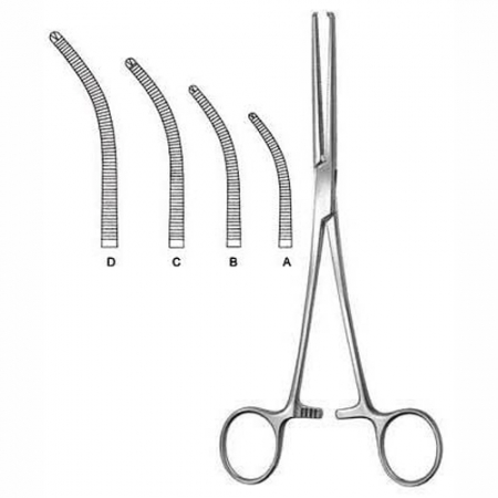 Shop Primary Image