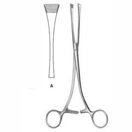 Shop Primary Image