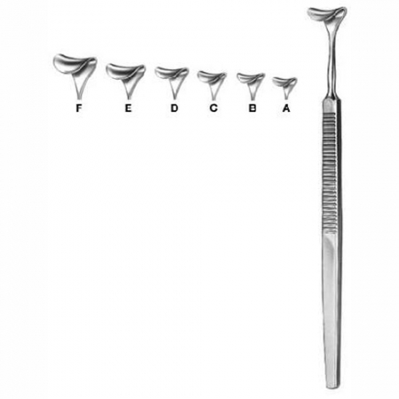 Shop Primary Image