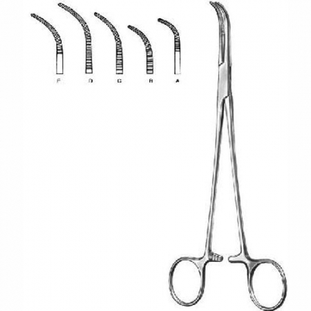 Shop Primary Image