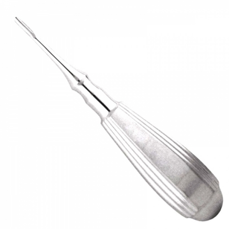 Shop Primary Image
