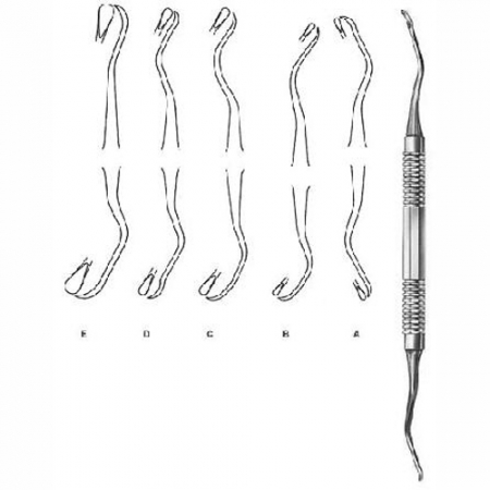 Shop Primary Image