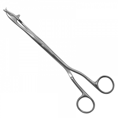 Shop Primary Image